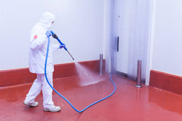 Best Paint Preparation  in Milton Freewater, OR